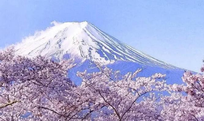 日本公司注冊有哪些要求？